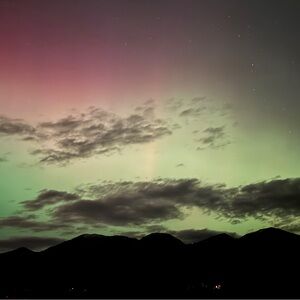 Meet your Posher, Brent